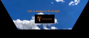 Vivid Skylights slogan and logo: Life is meant to be bright.