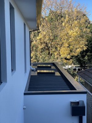Fixed skylight on the house metal roof.